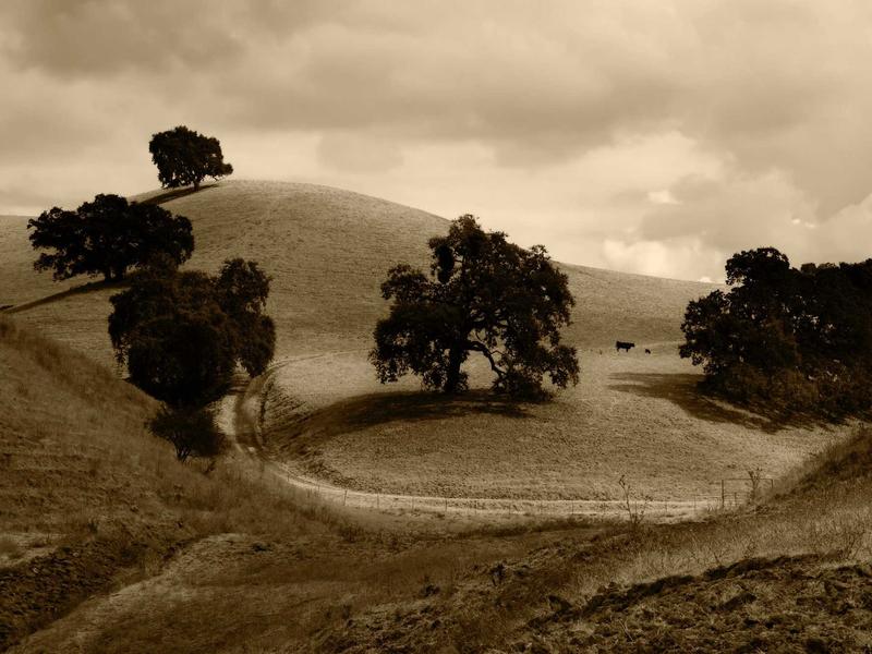 sudoku free online screenshot 3